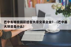 巴中有哪些园区适合大宗交易企业？（巴中最大项目是什么）